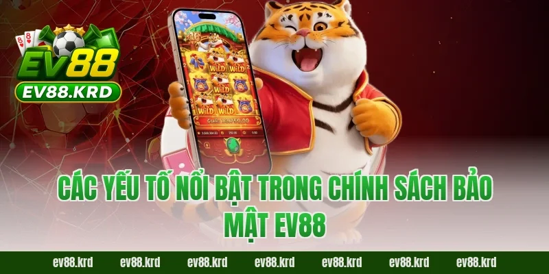 Các yếu tố nổi bật trong chính sách bảo mật EV88