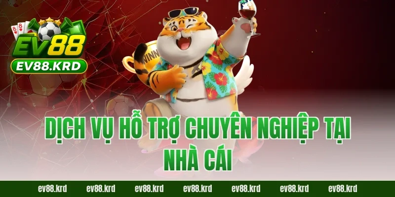 Dịch vụ hỗ trợ chuyên nghiệp tại nhà cái 