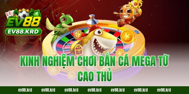 Bắn Cá Mega – Trải nghiệm săn thưởng đại dương cực đỉnh 4 Kinh nghiệm chơi Bắn Cá Mega từ cao thủ