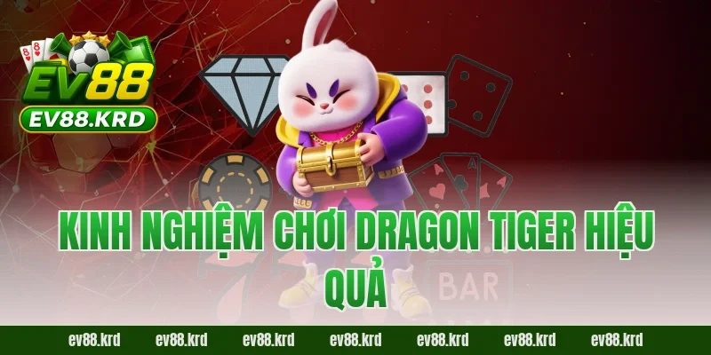 Dragon Tiger – Game bài tốc độ, kịch tính bậc nhất châu Á 3 Kinh nghiệm chơi Dragon Tiger hiệu quả