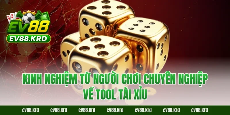Kinh nghiệm từ người chơi chuyên nghiệp về tool tài xỉu