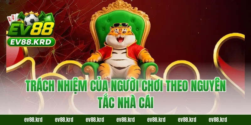 Trách nhiệm của người chơi theo nguyên tắc nhà cái 